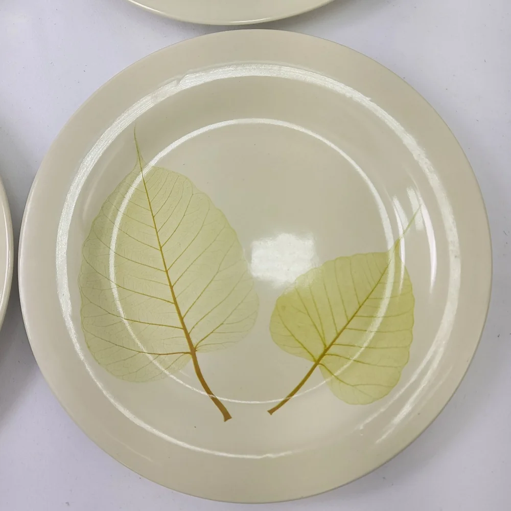 Pier 1 Aspen Stoneware Salad Dessert Plates Set of 4
